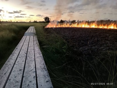 މަތިކިޅި އިކޯ ގާޑެންގައި ރޯކޮށްލި ކަމަށް ތުހުމަތުކޮށް، ފިޔަވަޅު އަޅައިދޭން އެދިއްޖެ