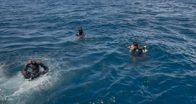 ޑައިވިނަށް ފޭބި މީހަކު ގެއްލިގެން ހޯދަނީ