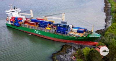 ބޯޓެއް ގޭގެ ގޯތިތެރެއަށް ވަތް އިރުވެސް އޮތީ ނިދާފައި!