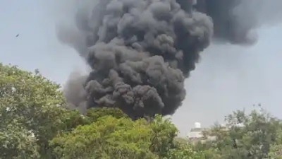 242 މީހުންނާ އެކު އެއާ އިންޑިއާގެ މަތިންދާ ބޯޓެއް ވެއްޓިއްޖެ