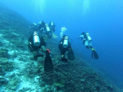 މޫދުގައި ހިނގާ ހާދިސާތަކުގައި މަރުވާ ފަތުރުވެރިން އަހަރުން އަހަރަށް އިތުރު، 5 އަހަރުތެރޭ 112 މަރު