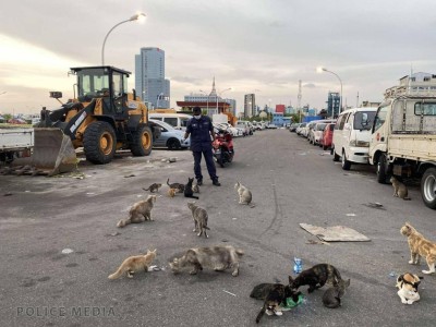 ބުޅާ މަދުވާ ސަބަބު ހޯދަން ފުލުހުން ނުކުމެއްޖެ, ވަކިކަމެއް އަދި ފާހަގައެއް ނުކުރެވޭ