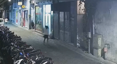 ޔުމްނު މައްސަލަ: އިންކުއަރީ ނިންމައި ރިޕޯޓު ރައީސަށް ހުށަހަޅައިފި