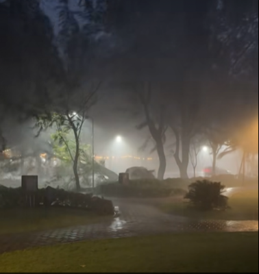 ހުޅުމާލެއަށް ކުރި ވިއްސާރައިގައި ގަދަ ވަޔާއެކު ގަހެއް ވެއްޓި، ގެއްލުންތަކެއް