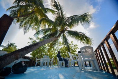 ކުއްޔާއި ރެސްޓޯރެންޓުތަކުން ވިއްކާ ކާބޯތަކެތީގެ އަގު 29 ޕަސެންޓަށް އުފުލިފައި