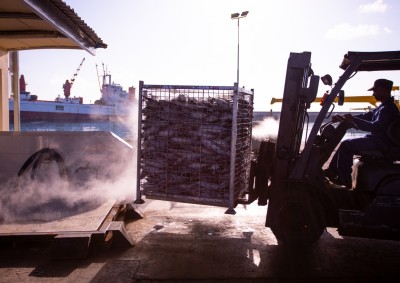 މިފްކޯއިން ޔޫކޭގެ ޕްރިންސަސް ގްރޫޕާއެކު މަސް ގަތުމުގެ އެއްބަސްވުމެއް ހަދައިފި