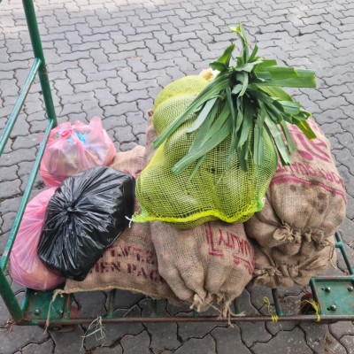 ބާޒާރަށް ފިޔާ ނެރެން ފަށައިފި، ކިލޯއެއް 35ރ. އިން މަތީގައި