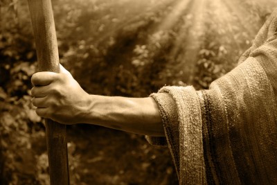 ޤުރުއާނުގައި ނަންގަނެވިގެންވާ ރަސޫލުންނާއި ނަބިއްޔުން