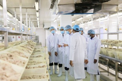 ކޭނަރީ ވަނީ އޮޑިޓްކޮށްފައި، ފެކްޓަރީ ވިއްކަން ބޭރުގެ ކުންފުނިތަކާ ވެސް މަޝްވަރާކުރޭ: އެންސިސް