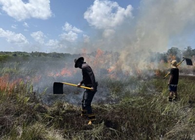 ފުވައްމުލަކު ހޯދަނޑު ޗަސްބިމުގައި ރޯވެ 10 ޕަސެންޓު އަނދައިފި، ބެލެވެނީ ސިނގިރޭޓެއް އެއްލައިގެން ކަމަށް