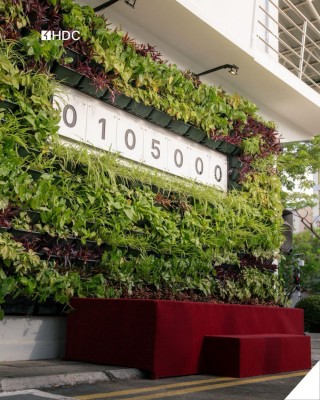 އެޗްޑީސީން ލައްކައަކަށް ވުރެ ގިނަ ގަސް އިންދައިފި