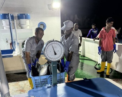 މިފްކޯއިން، ފުވައްމުލަކު ސިޓީން މަސް ގަންނަން ފަށައިފި