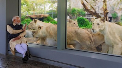 އަމްބާނީ އާއިލާއިން ގެންގުޅޭ ޖަނަވާރުތަކާ ގުޅުންހުރި މައްސަލައެއް ބަލަން ސުޕްރީމް ކޯޓުން އަންގައިފި