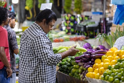 އަސާސީ ކާބޯތަކެތީގެ ލިސްޓުގައި, ބޯވެލި, ބަށި, ފަޅޯ, ހިމެނޭހެން 23 ބާވަތެއް