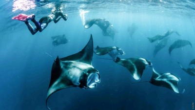 ހަނިފަރު ބޭގެ ހިމާޔަތުގައި އެތައް ބަޔަކު ނުކުތުމުން ދޮންފަނު ބިން ނުހިއްކަން ރައީސް ނިންމަވައިފި