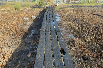 ރީތި މަތިކިޅި އަނދައި އަޅިއަށް، އަނެއްކާވެސް ރޯކުރިކަމުގެ ތުހުމަތު