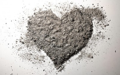 އިންސީންގެ ހިތް ފަސާދަވަނީ ކީއްވެ؟