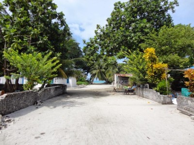 އާބާދީ މަދު ފެހެންދުއަށް 300 މީހުންގެ ޖާގައިގެ މިސްކިތެއް، އަގަކީ 8.5 މިލިއަން ރުފިޔާ