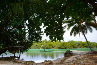 ގުދުރަތީ ތަންތަނަށް ނަންދިނުމަށް، ހޯމް މިނިސްޓްރީއާއި ޑިފެންސް މިނިސްޓްރީ ހިމެނޭ ކޮމިޓީއެއް