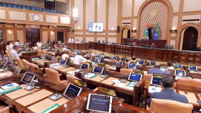 މެންބަރުން ހަމަނުވެގެން، މީޑިއާ ކޮމިޝަންގެ މެންބަރުންނަށް ރުހުންދިނުމާ މެދު ވޯޓަށް ނޭހުނު