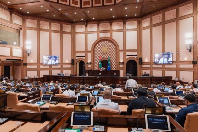 އިގުތިސާދަށް މުހިންމު ކަމަށް ބުނެ ކޮމިޓީން އިއްޔެ ފާސްކުރި އެސްއީޒެޑް ބިލް، މަޖިލީހުން ފާސްކޮށްފި