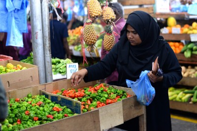 މިރުހާއި ބަށި އަގު ހެޔޮވިއިރު، ކެރެޓާއި ލުނބޯގެ އަގު 40 އިންސައްތަ ބޮޑުވެއްޖެ