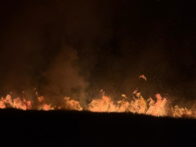 ފުވައްމުލަކު ފުނާޑު ޗަސްބިމުގައި ރޯވި އަލިފާން ނިވާލެވުނީ ތިން ގަޑިއިރުން، ބޮޑު ގެއްލުމެއް