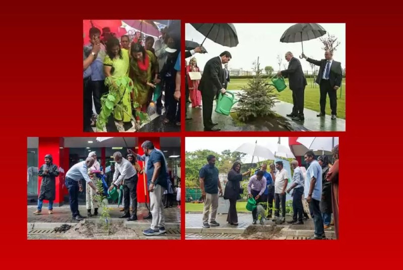 ވެހެމުން ދިޔަ ވާރޭ ގައި ގަހަށް ފެން ދިނުމުން، ސަރުކާރުގެ ވަޒީރުން "މީމް" އަކަށް