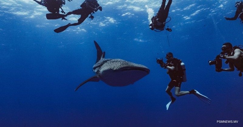 މުހިންމު ފިޔަވަޅެއް، ވިޔަފާރި އުސޫލުން ފެހުރިހި ގައުމުތަކަށް ގެންދިޔުން މަނާ!