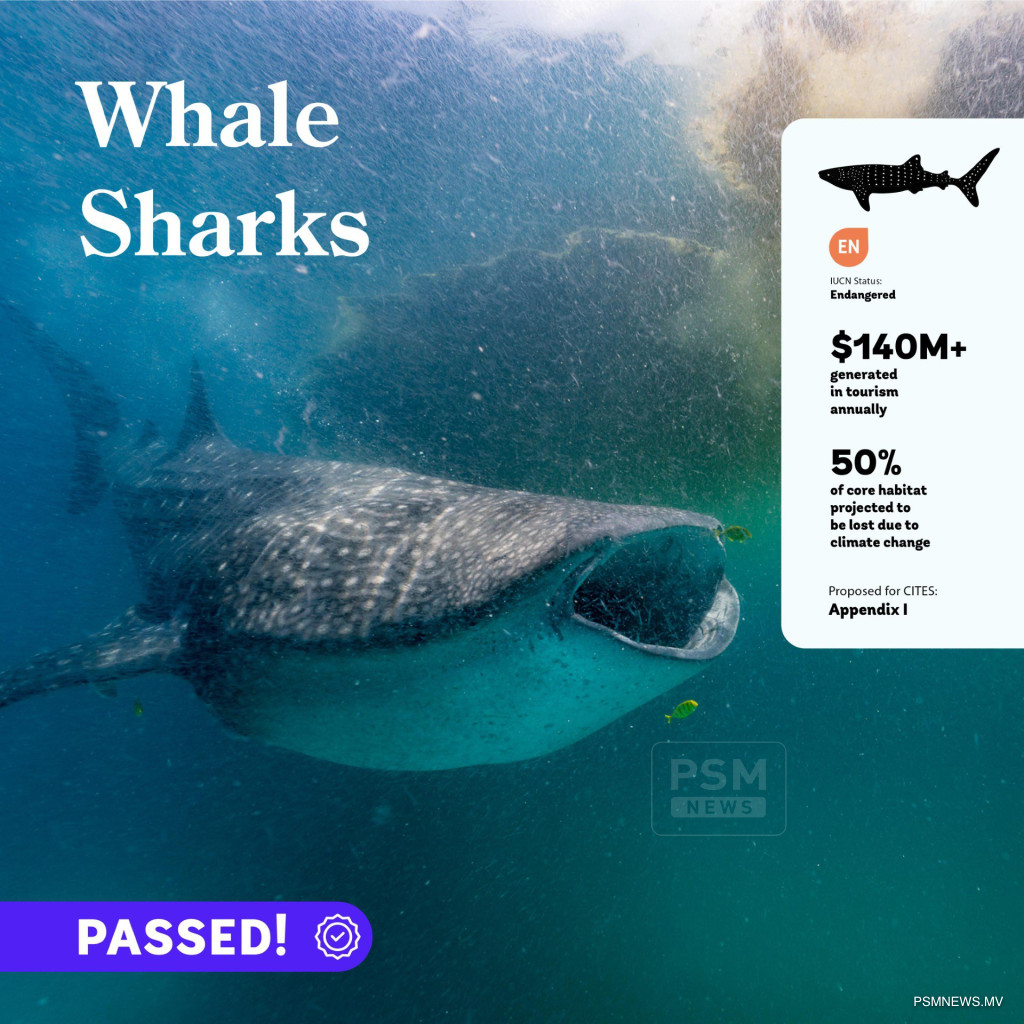 މުހިންމު ފިޔަވަޅެއް، ވިޔަފާރި އުސޫލުން ފެހުރިހި ގައުމުތަކަށް ގެންދިޔުން މަނާ!