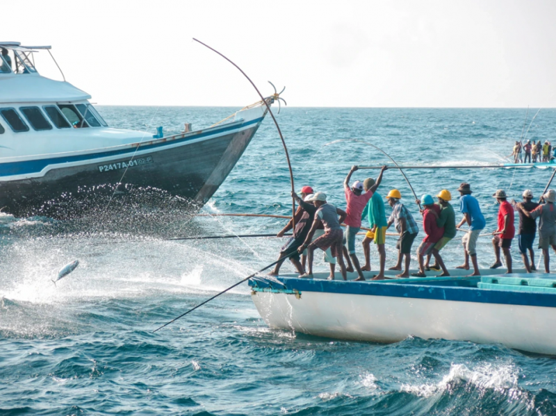 އެންމެ ފަހުގެ ޓެކްނޮލޮޖީ ހިމެނޭ މަސްވެރި އުޅަނދެއްގެ ޑިޒައިން ކުރުމަށް ހުޅުވާލައިފި