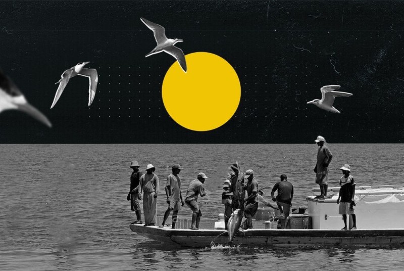 ފީއަލީ ގިނަ މަސްވެރިންނަށް ސިނާއަތް ދޫކޮށްލަން މަޖުބޫރު، 100 ރުފިޔާ އަށް ގަނެވޭނެ ކަމަށް ބުނި ކަންނެލީގެ އަގު 30 ގައި!