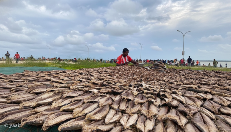 މަސް ޕްރޮސެސް ކުރާ ސާމާނު ގަތުމަށް ހަތަރު ލައްކަ ރުފިޔާއާ ހަމައަށް ފައިނޭންސް ދޫކުރާ ސްކީމެއް