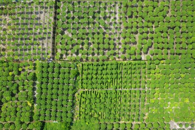 ދަނޑުވެރި ރަށެއްގައި, ކެންސަރު ގިނަ: ޑޮކްޓަރުން ބުނަނީ ކީކޭ؟