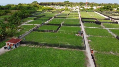 ދަނޑުތަކަށް ޖަހާ ކެމިކަލާއި ކެންސަރުގެ ނުރައްކާ: މިނިސްޓްރީން ކިޔައިދިނީ ގަވާއިދު އޮތްގޮތް!