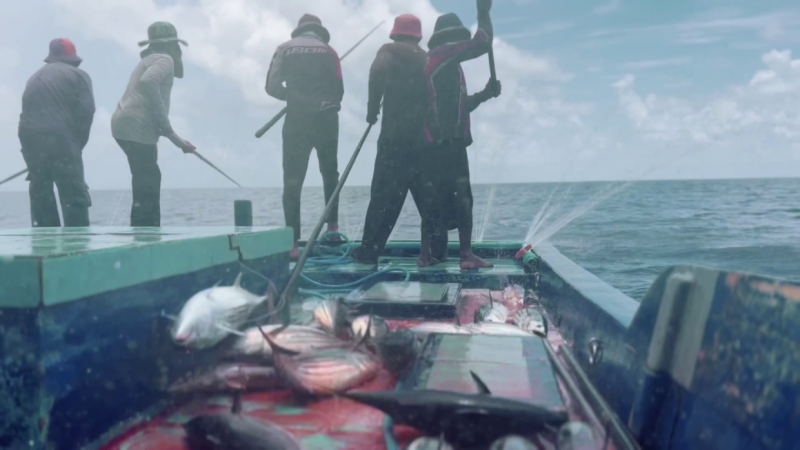 މިފަހަރު ވެސް މަސްވެރިންގެ ދުވަހާ ގުޅިގެން އެސްއެސްޓީވީން ޚާއްސަ ޕްރޮގްރާމްތަކެއް!