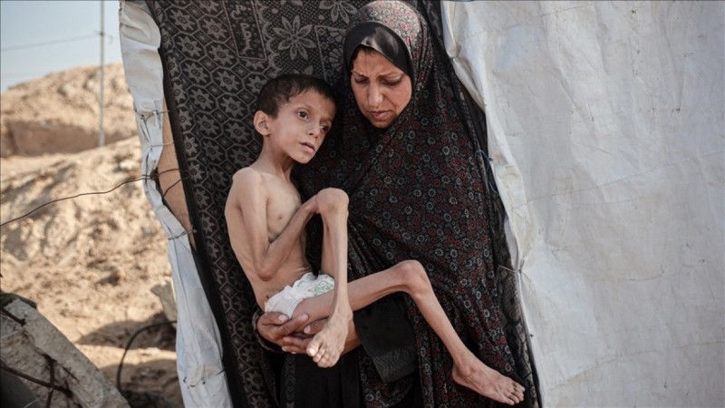 ޣައްޒާގައި ކާޑުބަލި ތަހައްމަލު ކުރަންޖެހޭ ބޮޑެތި މީހުންނާއި ކުޑަކުދިންގެ އަދަދު އަދިވެސް ވަރަށް މަތި