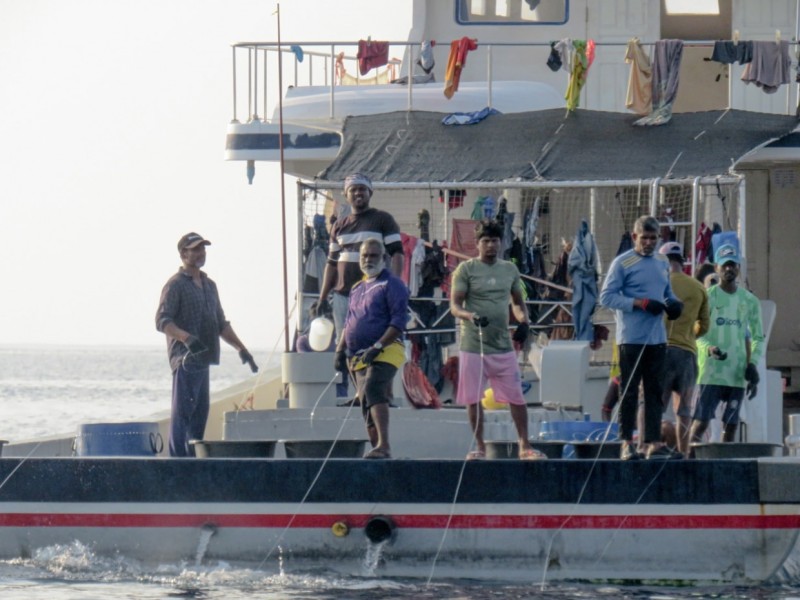 މިފްކޯއިން ކިލޯއަކަށް ވުރެ ބަރު މަސް 16 ރުފިޔާއަށް ގަންނަން ފަށައިފި