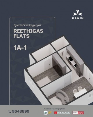 އެޗްޑީސީގެ ރީތިގަސް ފުލެޓްތަކަށް ގަވިންއިން ޚާއްސަ ޕެކޭޖުތަކެއް