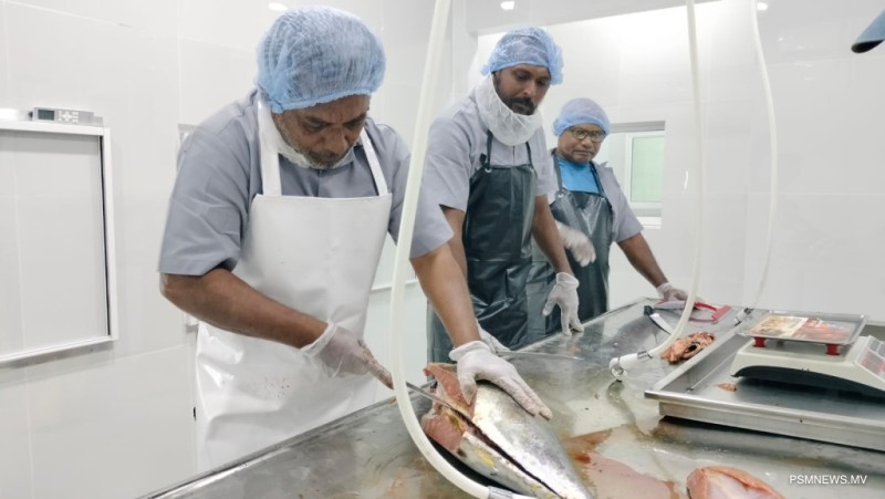 ފުވައްމުލަކު މަސް ޕްރޮސެސިން ފެސިލިޓީގެ ޚިދުމަތް އަންނަ ހަފްތާގައި ފަށަނީ