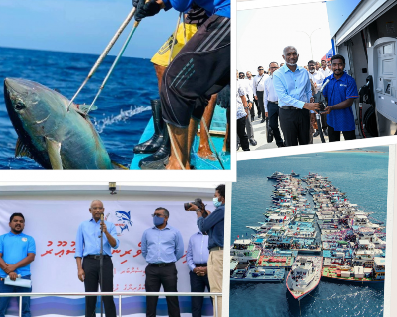 މަސްވެރިކަން: ހައްލު ބާއްވާފައި، ސިޔާސީ ޗަރުކޭހުގައި