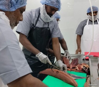 ފުވައްމުލަކު މަސް ޕްރޮސެސިން ފެސިލިޓީގެ ޚިދުމަތް އަންނަ ހަފްތާގައި ފަށަނީ