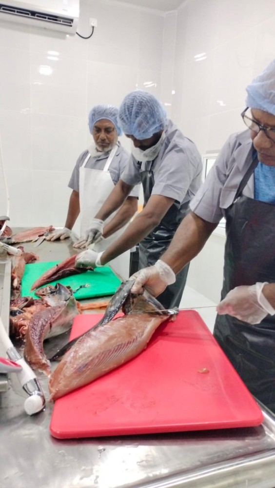 ފުވައްމުލަކުގެ މަސް ޕްރޮސެސްކުރާ ފެސިލިޓީ އަންނަ ހަފްތާ ހުޅުވަނީ