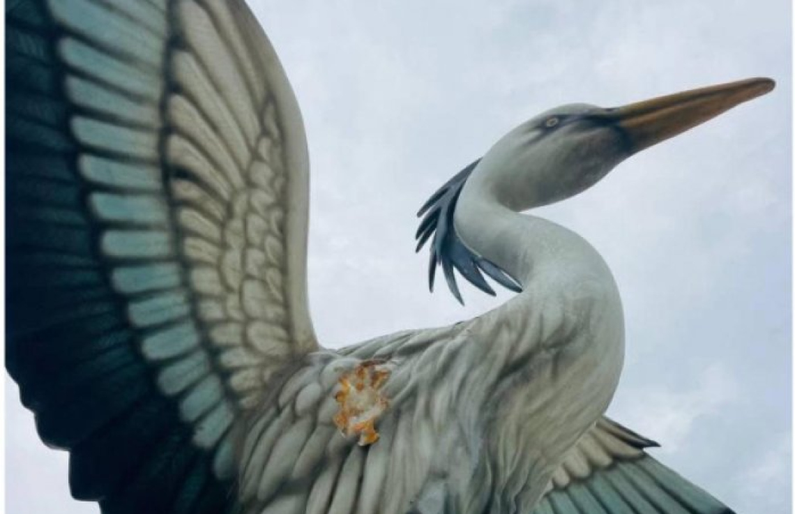 ދިރޭތަކެތި ސިފަވާ މޮނިއުމަންޓު ބެހެއްޓުން ހަރާން: ފަތުވާ މަޖިލިސް