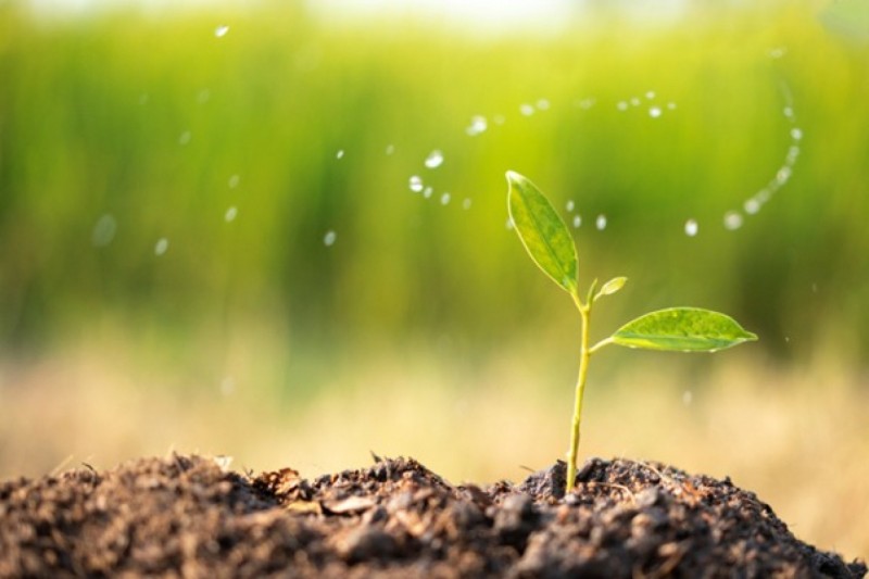 ތަރައްގީއަކީ އުނުއޮރިޔާން ނިވާ ނުވާވަރަށް ދަރާވިކުން ހެއްޔެވެ؟