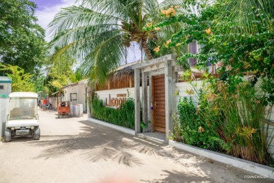 ފަތުރުވެރިކަމަށް 3800 އަށްވުރެ ގިނަ އެނދު، ޖުމްލަ އެނދު 67،000އަށް