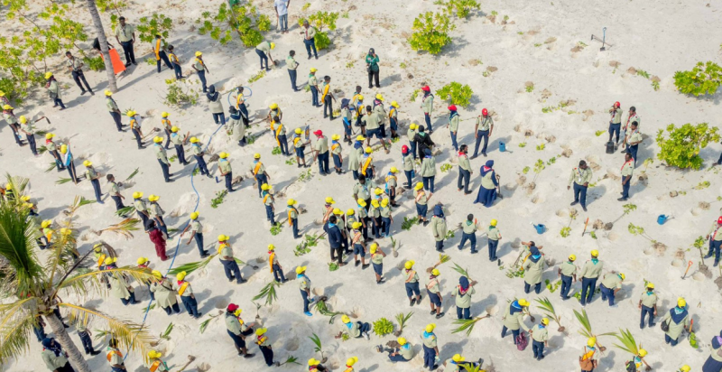 ފަސް މިލިއަން ގަސް އިންދުން: މިހާތަނަށް އެއް މިލިއަން ގަސް އިންދައިފި