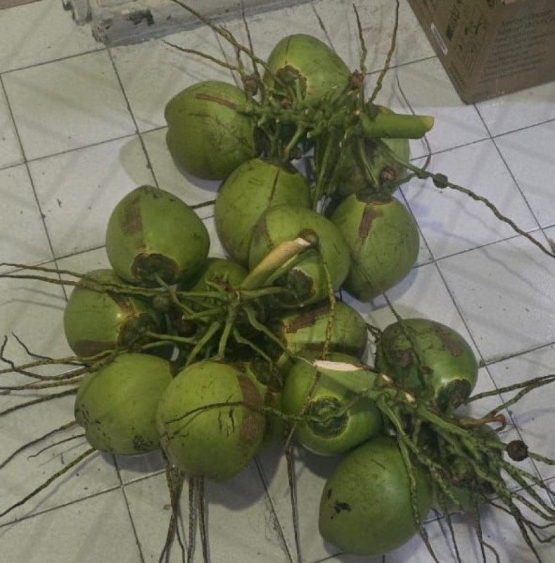 އައްޑޫ ފުލުހުން މި ފަހަރު ހޯދަނީ، ކުރުނބާތަކެއްގެ ވެރިފަރާތް