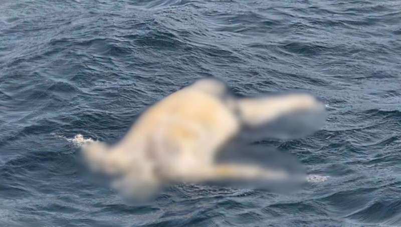 ކަނޑޫމާ ތިލަ ކައިރިން މަރުވެފައި އޮތް މީހަކު ފެނިއްޖެ