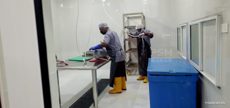 ފުވައްމުލަކު މަސް ޕްރޮސެސިން ފެސިލިޓީ ހުޅުވައިފި